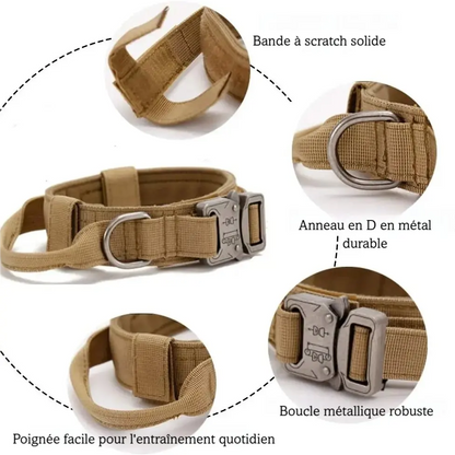 Visuel détaillé du collier tactique beige avec poignée, anneau en D, velcro et boucle métal.