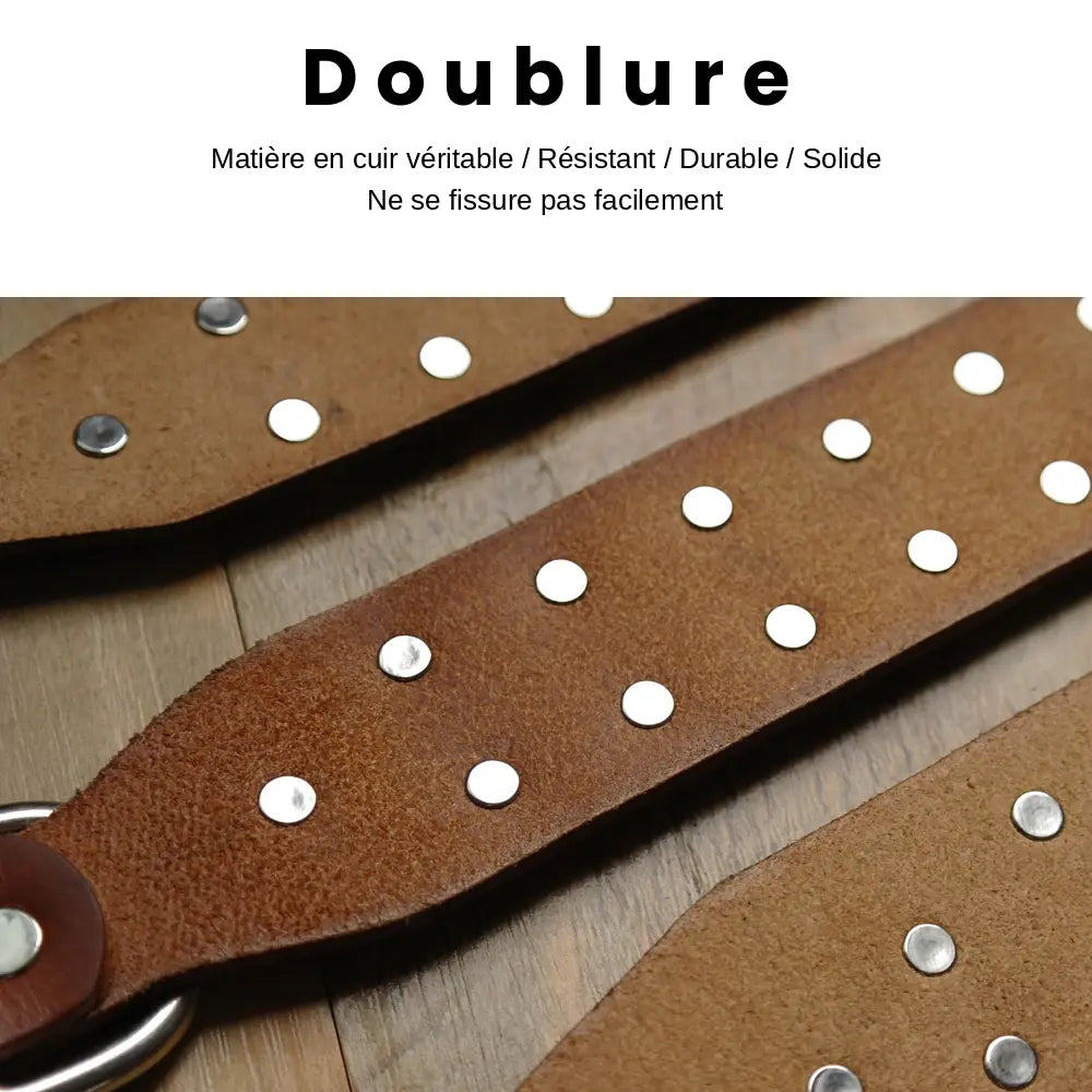 Zoom sur la doublure du collier clouté pour chien en cuir avec multiples petits clous métalliques