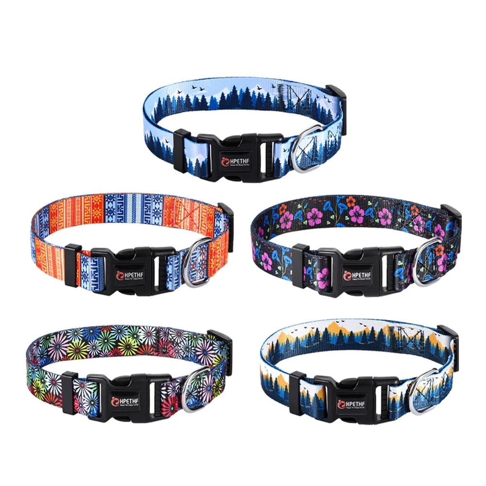 Découvrez les modèles artistiques de colliers pour chien aux motifs variés et colorés
