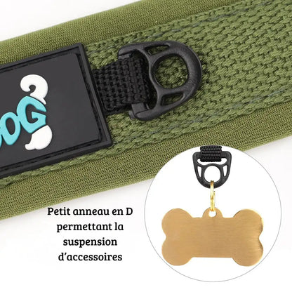 Collier personnalisé pour chien en nylon rembourré doux avec plaque d’identification gravée