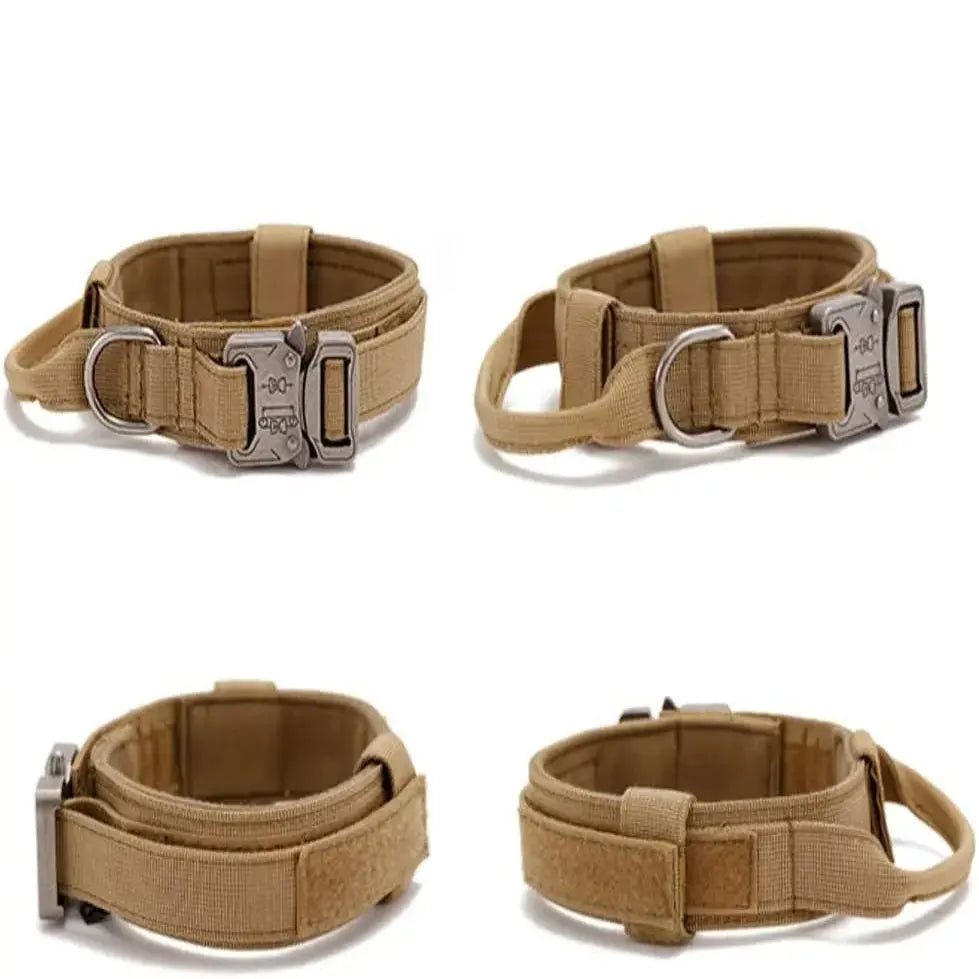 Présentation multi vues d’un collier tactique beige pour chien avec poignée et boucle métal.
