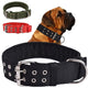 Collier tactique large noir présenté avec plusieurs variantes de couleurs pour grand chien.