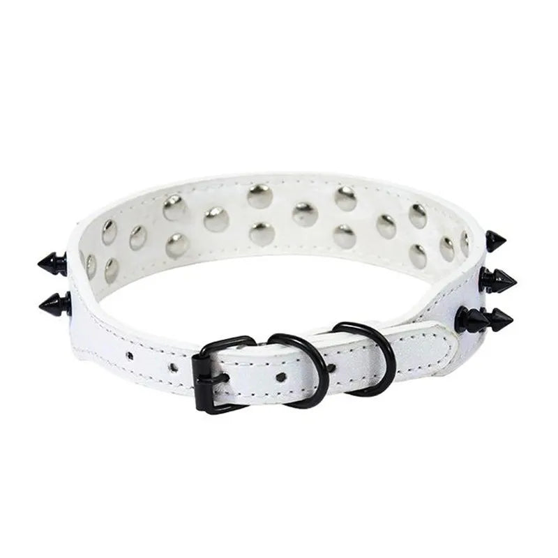 Collier clouté daim petit chien pointes