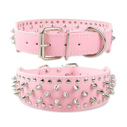 Collier clouté pour chien en cuir avec multiples petits clous métalliques