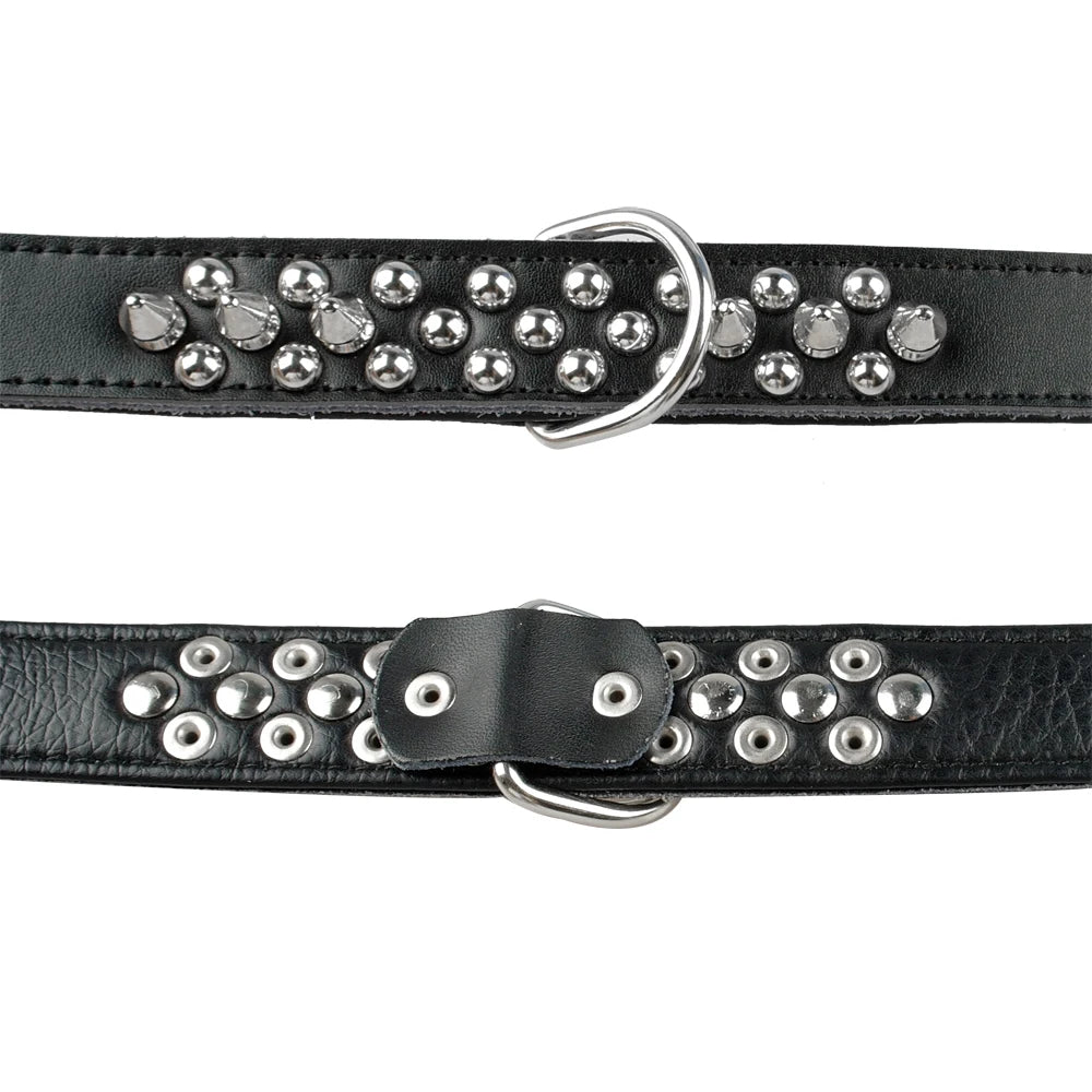 Collier clouté pour chien en cuir avec multiples petits clous métalliques
