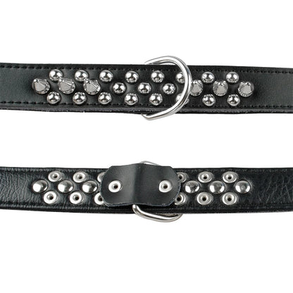 Collier clouté pour chien en cuir avec multiples petits clous métalliques