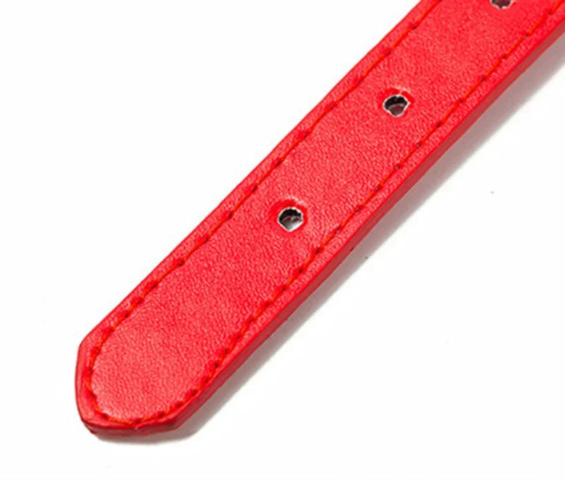 Collier cuir PU doublé petit chien uni coloré