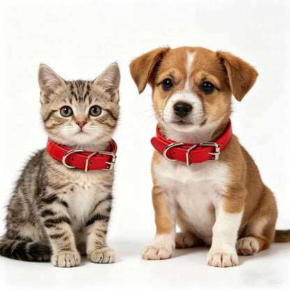 Collier cuir PU doublé petit chien uni coloré