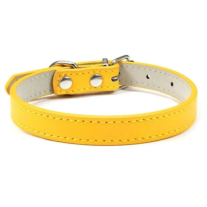 Collier cuir PU uni petit chien multi-coloris