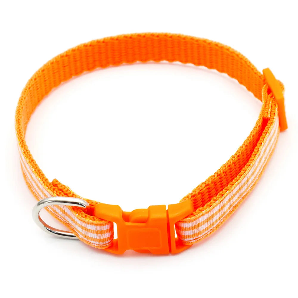 Collier nylon carreaux petit chien coloré