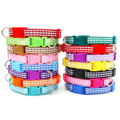 Collier nylon carreaux petit chien coloré