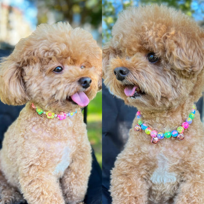 Collier pour petit chien à perles et fleurs pastel