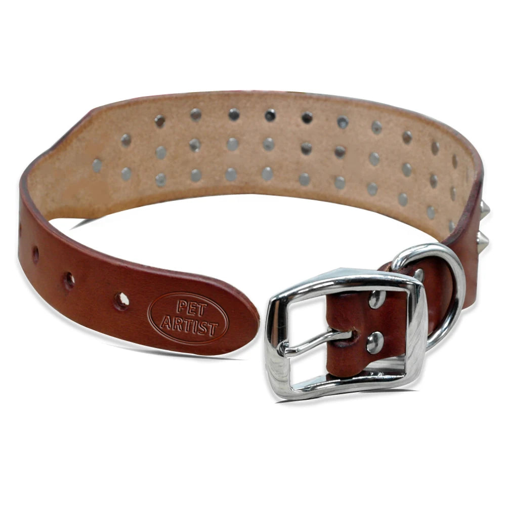 Collier clouté pour chien en cuir avec multiples petits clous métalliques