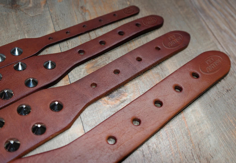 Collier clouté pour chien en cuir avec multiples petits clous métalliques