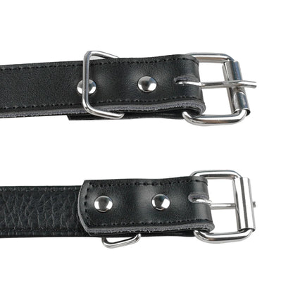 Collier clouté pour chien en cuir avec multiples petits clous métalliques