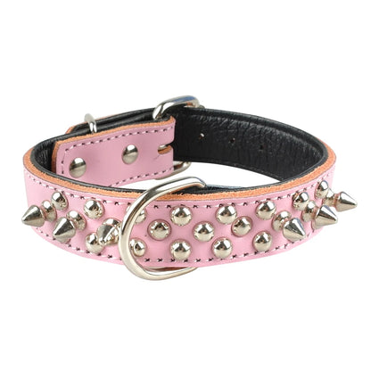 Collier clouté pour chien en cuir avec multiples petits clous métalliques