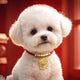 Collier tissu rouge petit chien pendentif doré