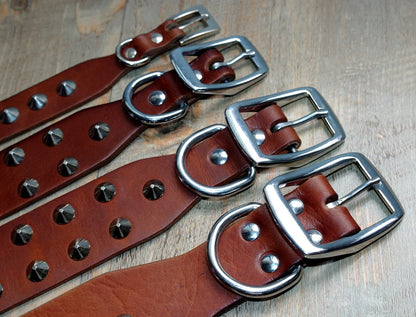 Collier clouté pour chien en cuir avec multiples petits clous métalliques