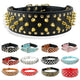 Collier clouté pour chien en cuir avec multiples petits clous métalliques