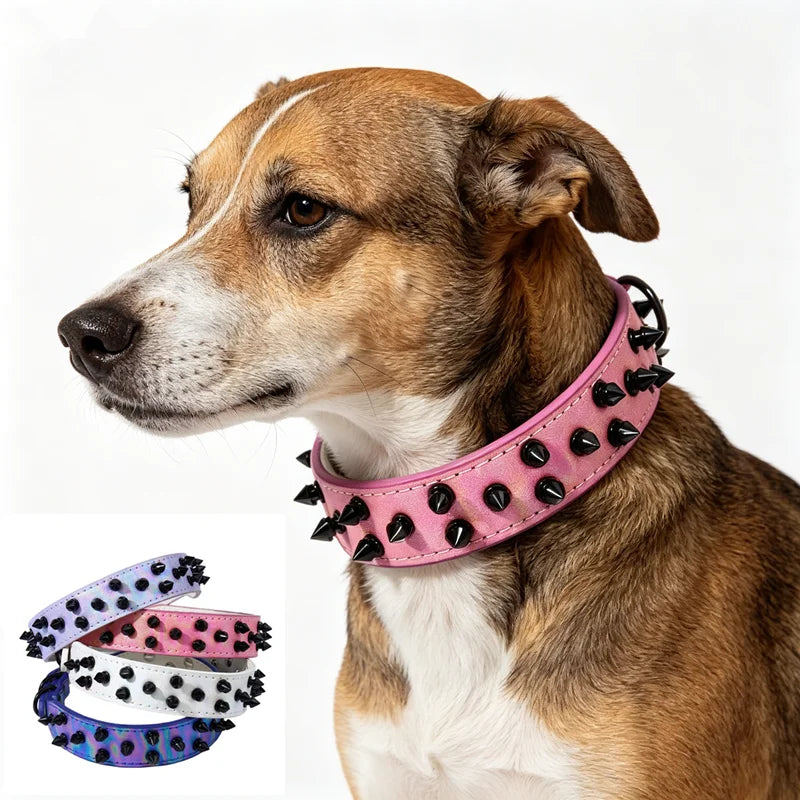 Collier clouté daim petit chien pointes