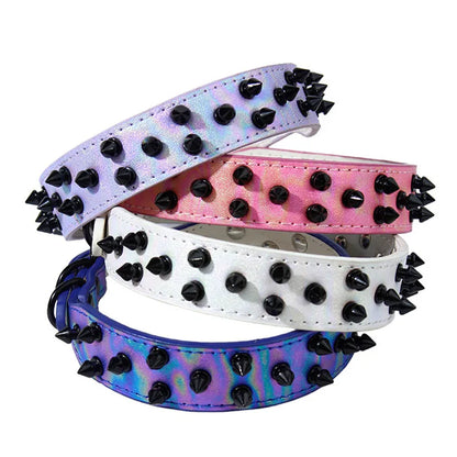 Collier clouté daim petit chien pointes