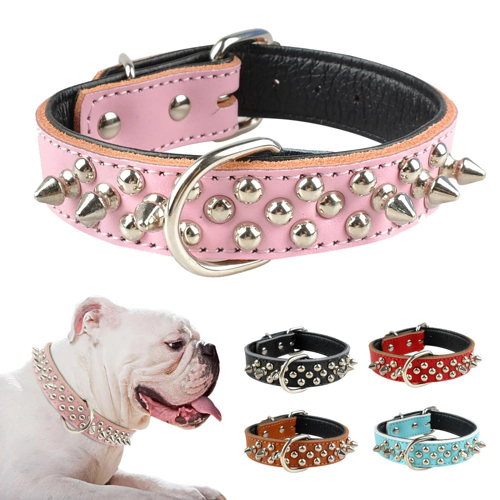 Collier clouté pour chien en cuir avec multiples petits clous métalliques