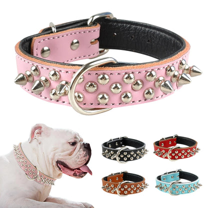 Collier clouté pour chien en cuir avec multiples petits clous métalliques