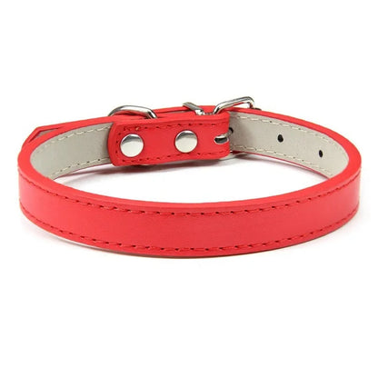 Collier cuir PU uni petit chien multi-coloris