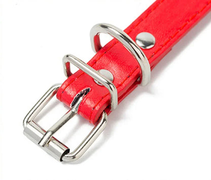 Collier cuir PU doublé petit chien uni coloré