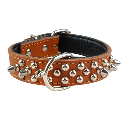 Collier clouté pour chien en cuir avec multiples petits clous métalliques