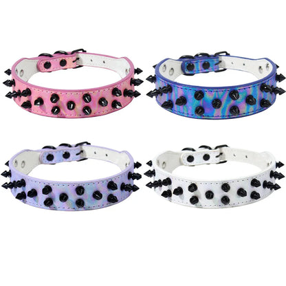 Collier clouté daim petit chien pointes