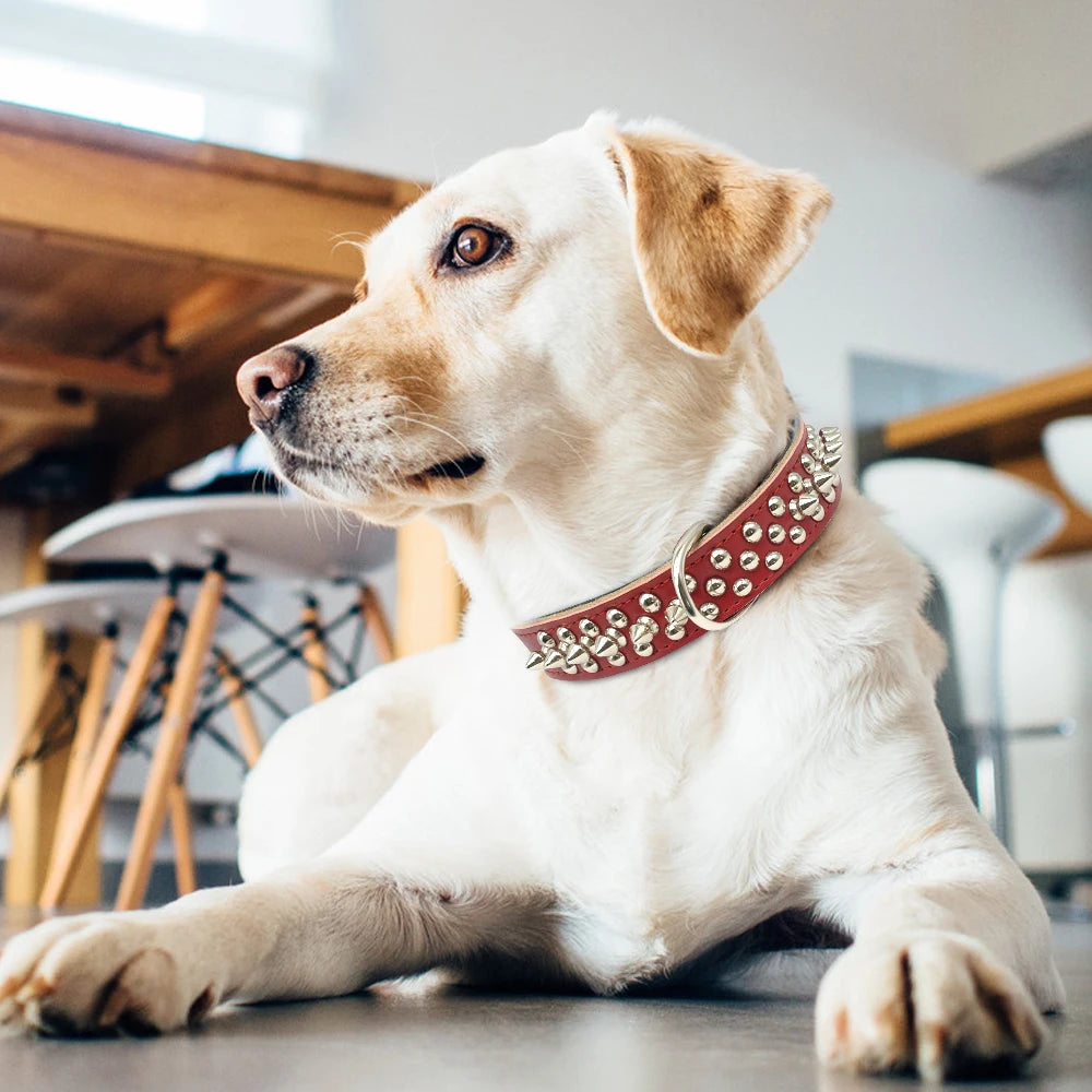 Collier clouté pour chien en cuir avec multiples petits clous métalliques
