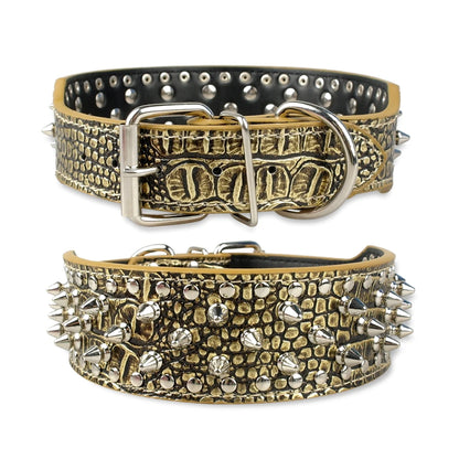 Collier clouté pour chien en cuir avec multiples petits clous métalliques
