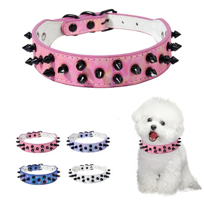 Collier clouté daim petit chien pointes