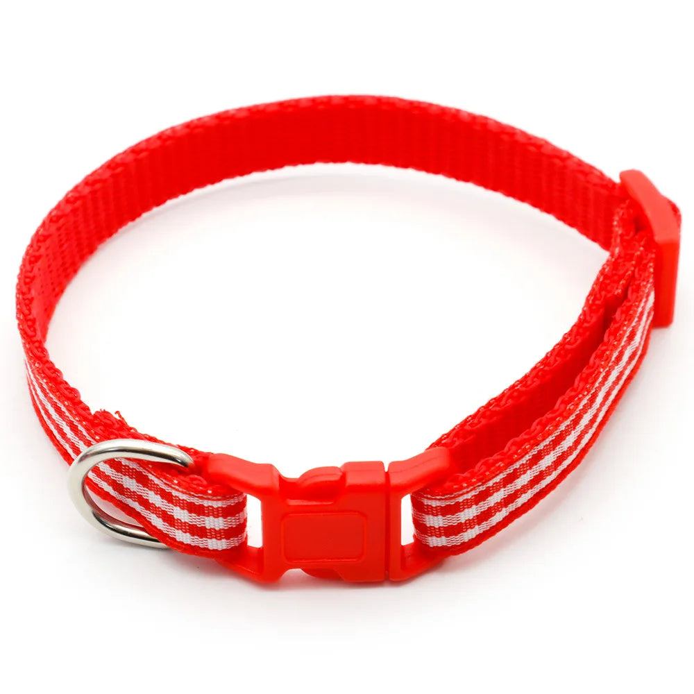 Collier nylon carreaux petit chien coloré