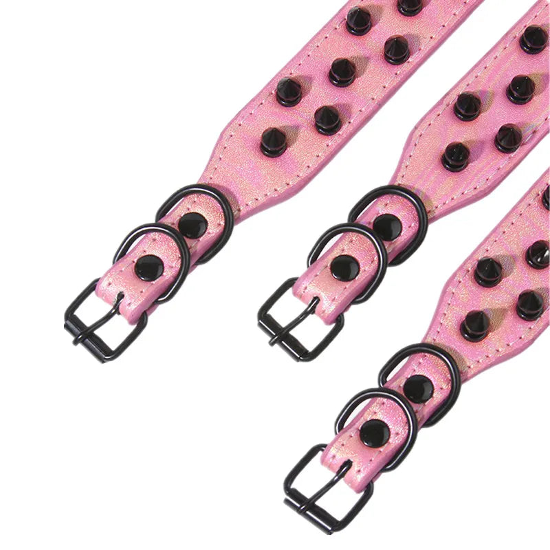 Collier clouté daim petit chien pointes