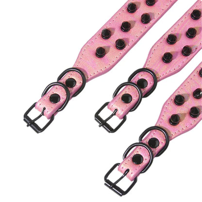 Collier clouté daim petit chien pointes