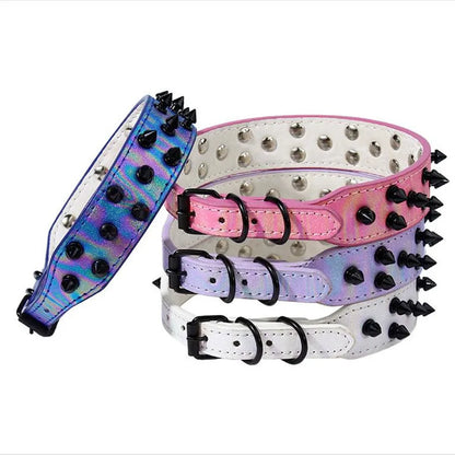 Collier clouté daim petit chien pointes