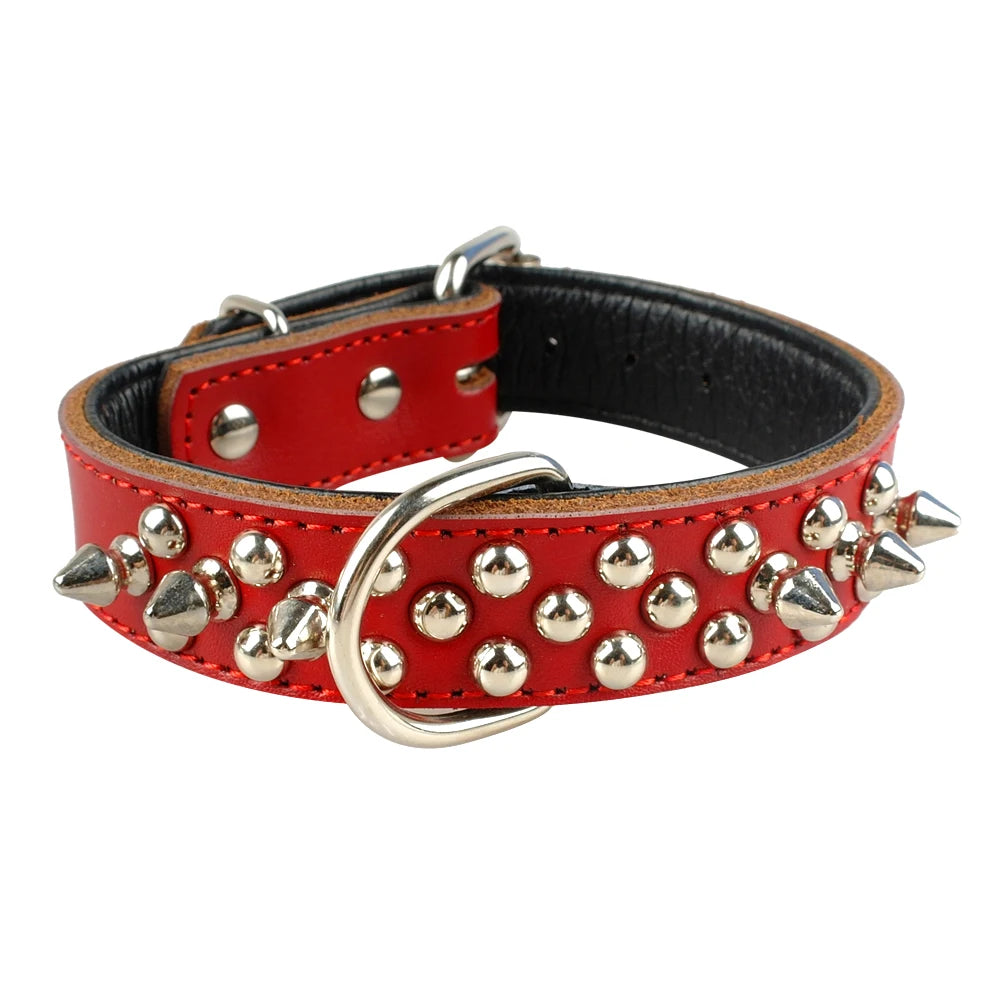 Collier clouté pour chien en cuir avec multiples petits clous métalliques