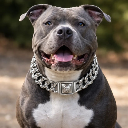 Un collier qui relève le caractère de votre chien