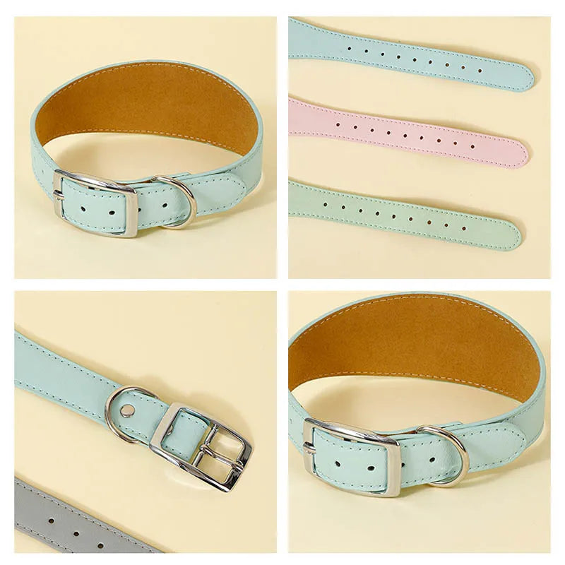 Détails précis pour un collier de qualité. Boucle solide et couleurs variées