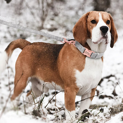 Beagle portant un collier gris personnalisé avec laisse assortie dans la neige.