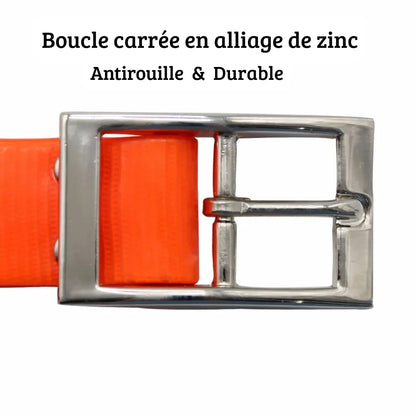 Gros plan sur la boucle carrée en alliage de zinc du collier pour chien.