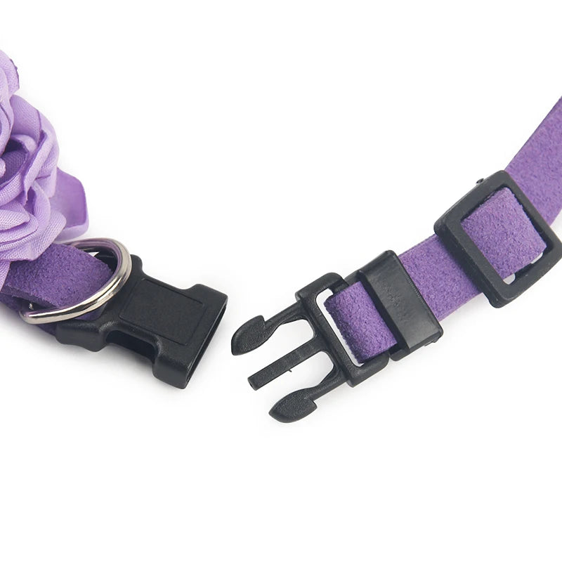 Vue rapprochée de la boucle du collier de cérémonie violet pour chien, fonctionelle 