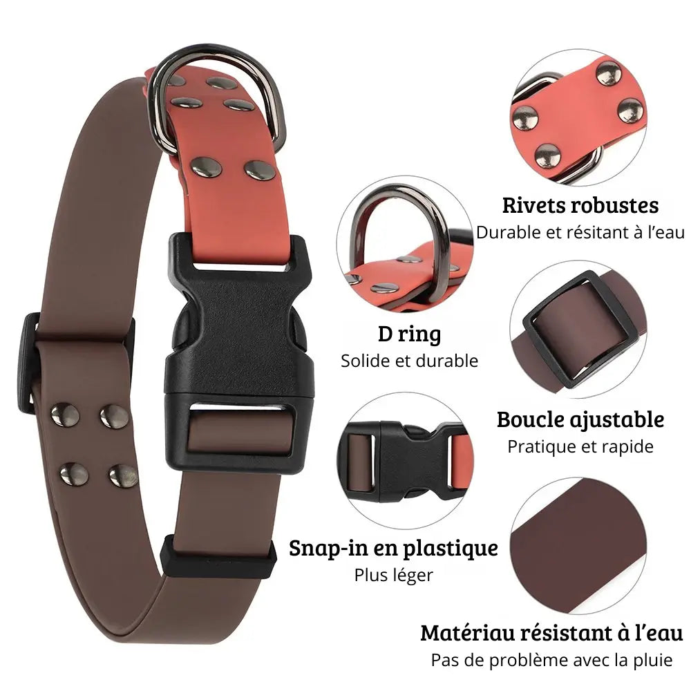 Caractéristiques du collier de nage pour chien avec anneau D rivets et boucle réglable.