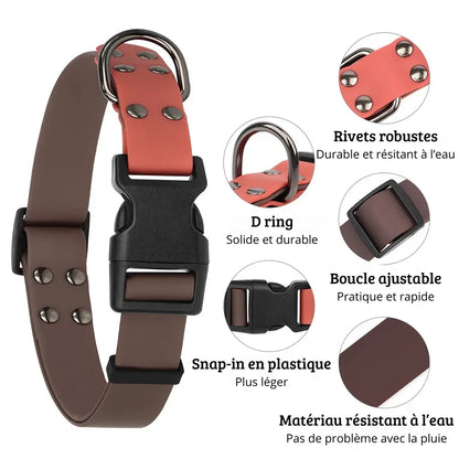 Caractéristiques du collier de nage pour chien avec anneau D rivets et boucle réglable.
