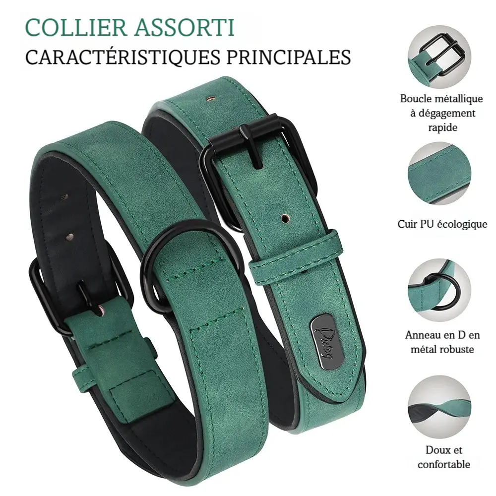 Principales caractéristiques du collier vert pour chien en PU cuir avec mousqueton métal présenté sur un fond blanc.