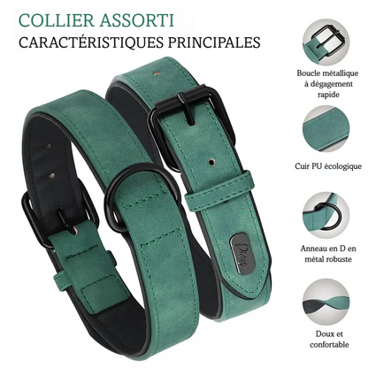 Principales caractéristiques du collier vert pour chien en PU cuir avec mousqueton métal présenté sur un fond blanc.