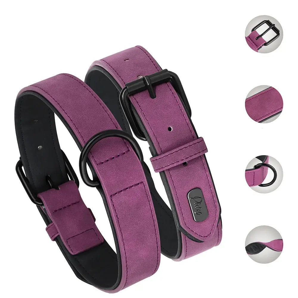 Principales caractéristiques du collier violet pour chien en PU cuir avec mousqueton métal présenté sur un fond blanc.