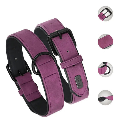 Principales caractéristiques du collier violet pour chien en PU cuir avec mousqueton métal présenté sur un fond blanc.